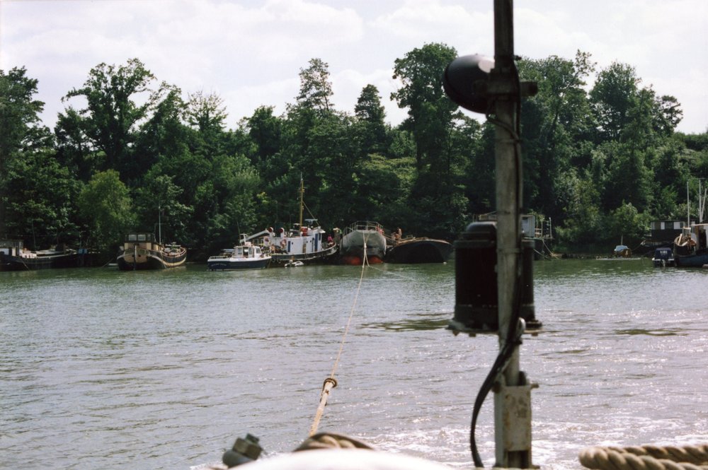 MS7.jpg