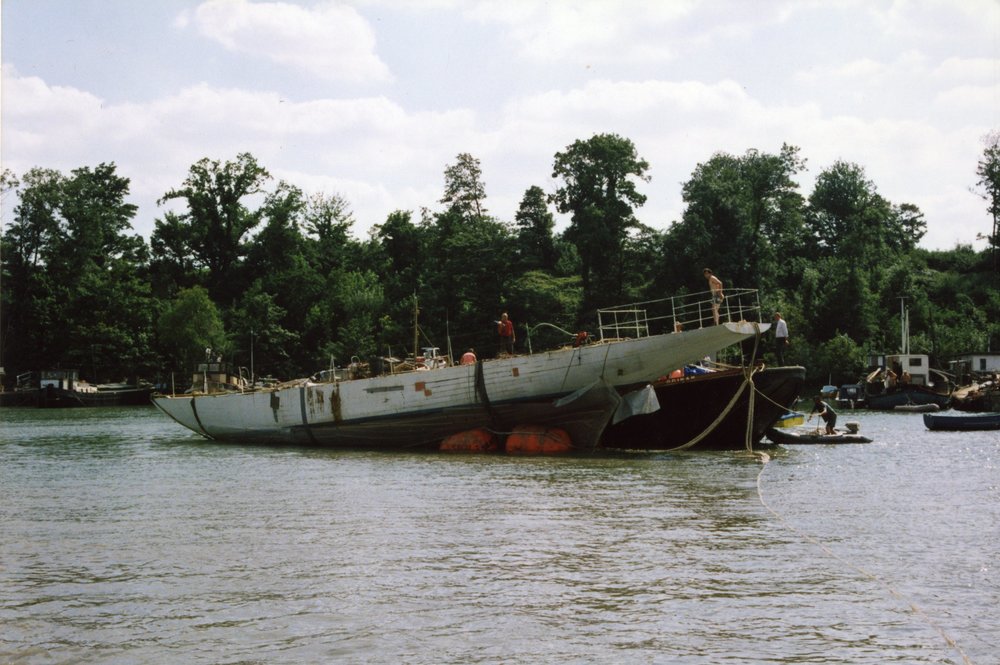 MS11.jpg