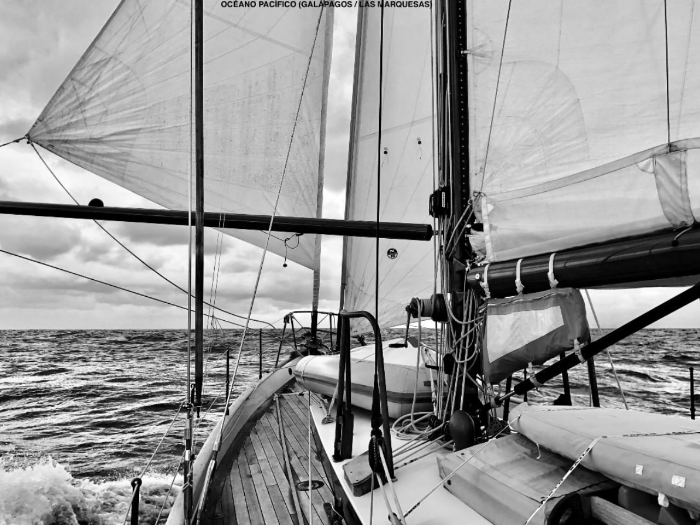 A great B&amp;W picture, down wind with code zero and poled out genoa to windward