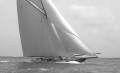 Shamrock III