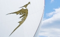 Fairlie 55 dragon on spinnaker