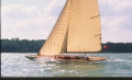 fulmar-sailing